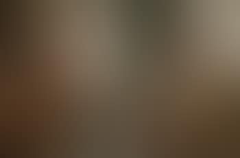 Die Innere Figur (preview)