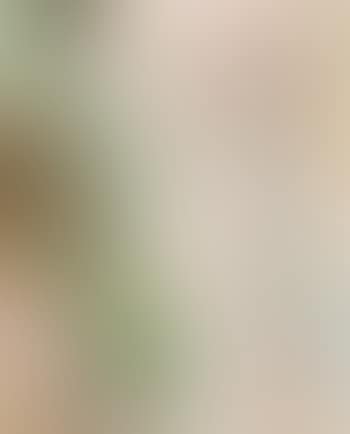 Nu vert et rose (preview)