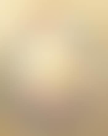 Couronne de fleurs (preview)