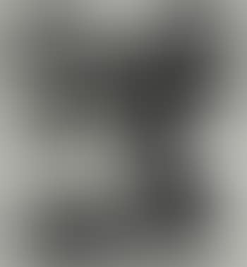 Untitled (SFE.305; I.26) (preview)