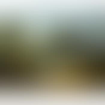 Hudson River Scene (preview)