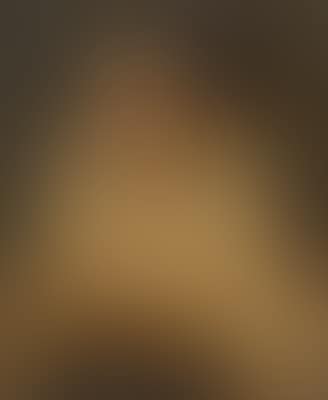 Portrait of a lady (preview)