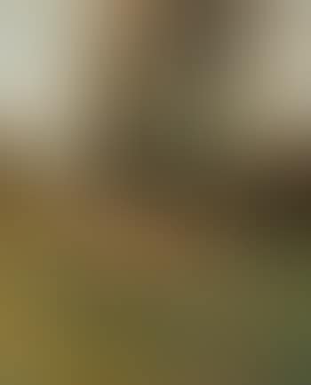 Hirtin mit Schafherde (preview)