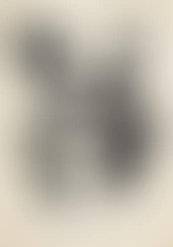 Configuration VIII (preview)