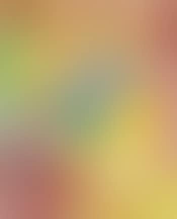 Komposition auf regenbogenfarbenem Grund (preview)