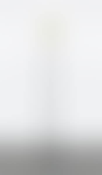 Floor Lamp, Model No. 2020, Circa 1961 (preview)