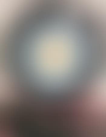 Der Flaggenfalter (preview)