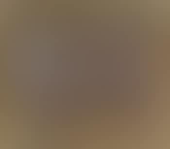 Three nudes (preview)