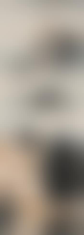 Landscape (preview)