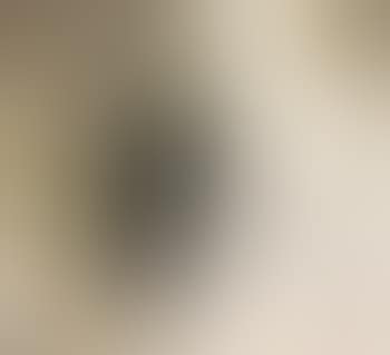 Owl (preview)