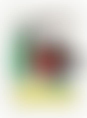 Sans titre (preview)