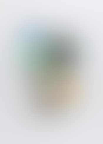 Senza titolo [Untitled] (preview)