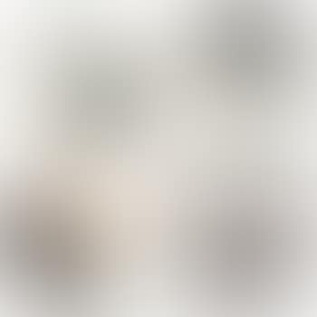 [Untitled] (preview)