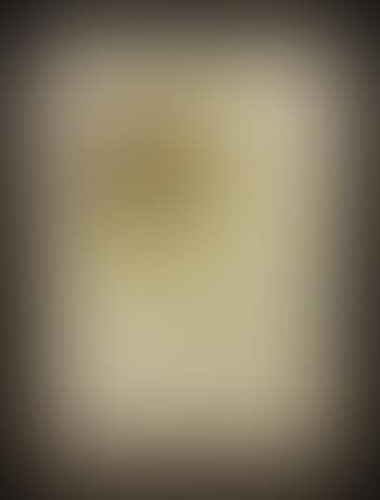 [Untitled] (preview)