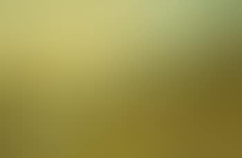 Landscape Scene (preview)