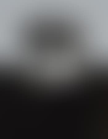 El perro de Goya (preview)