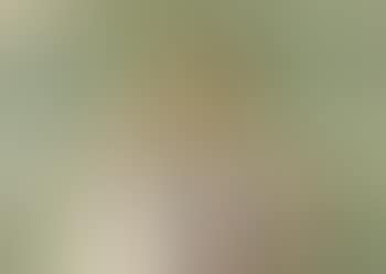 Portrait of two children (preview)