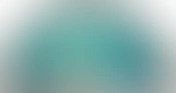 A Transom Window (preview)