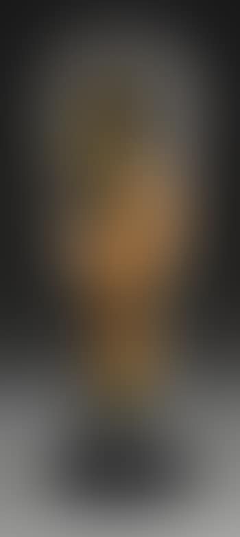 A Landscape Vase (preview)