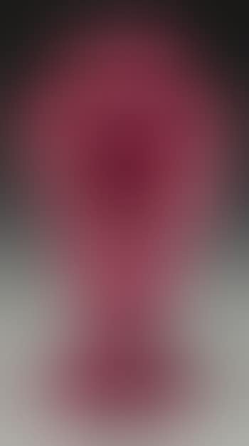 A Baluster Vase (preview)
