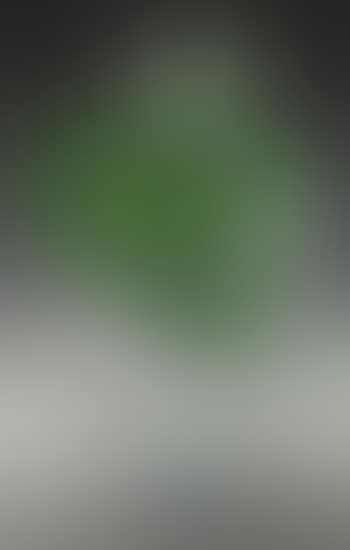A Tanega Vase (preview)