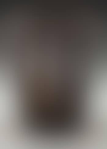 A Danaides Vase (preview)