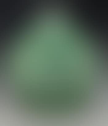 A Milan Vase (preview)