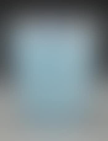 A St. Tropez Vase (preview)