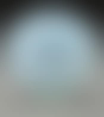 A Gui Vase (preview)