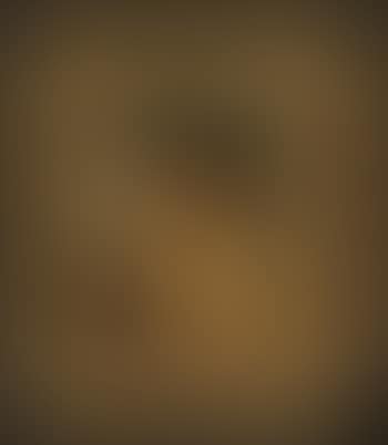 Portrait einer Dame mit weißer Bluse und Goldschmuck (preview)