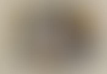 Nature Morte (preview)