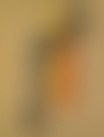 E-bild (E Picture) (preview)