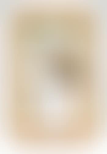 Untitled (Aviary Series, Parrot with Toy Bell) (preview)