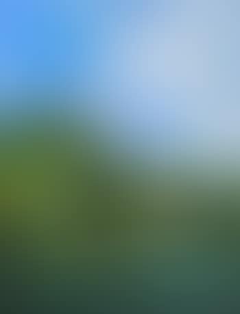 The Glebe Gallery (preview)