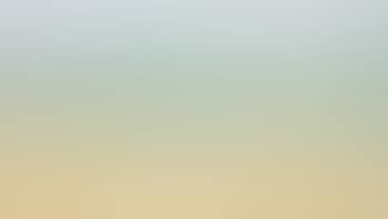 Beach (preview)