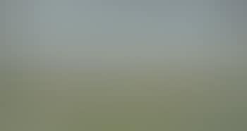 Dornoch Moors (preview)