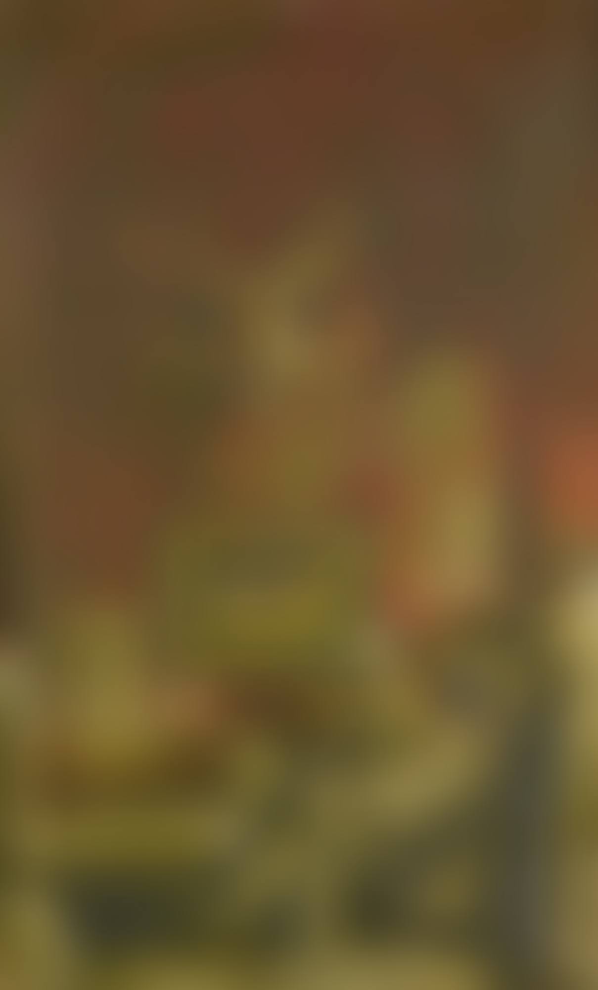 SELF PORTRAIT WITH BLIND FIDDLER (preview)