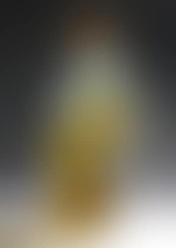 Seated Woman (preview)