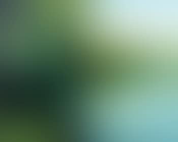 Landscape (preview)