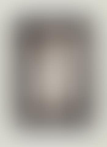 L 102 (preview)