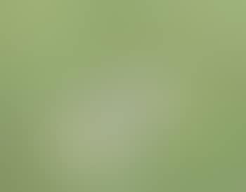 Girl Lying on Grass (preview)