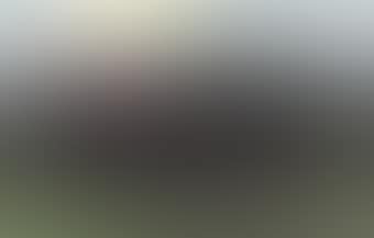 Untitled (Landscape) (preview)