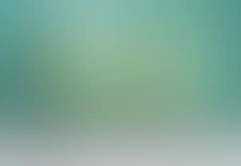 A Four fold screen (preview)