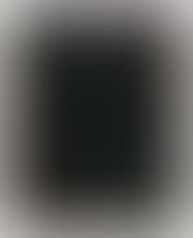 Fug (Mirror painting) (preview)