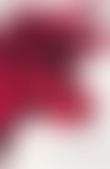 Cow (preview)