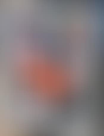 Wilhelm Mozer (preview)