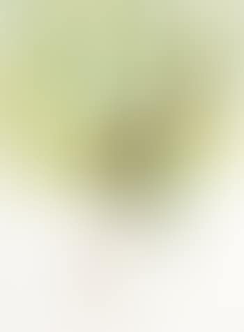 Diving Frog (preview)