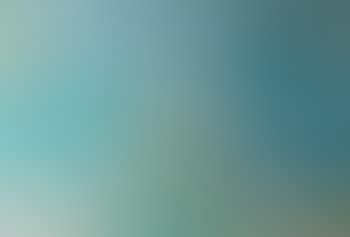 Paysage aux palmiers (preview)