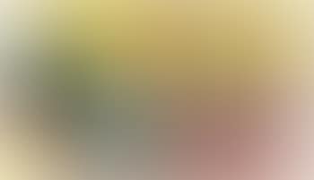Leda and the Swan (Study) (preview)