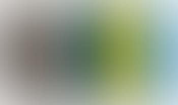 The Studio (Landscape Painting) (preview)